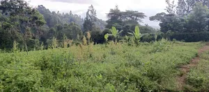 Quarter Acre Plots for Sale in Ngong Matasia, Barabara Mpya