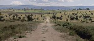100 Acres for Sale in Isinya