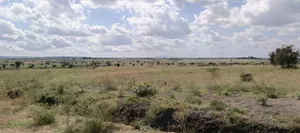 100 Acres for Sale in Isinya