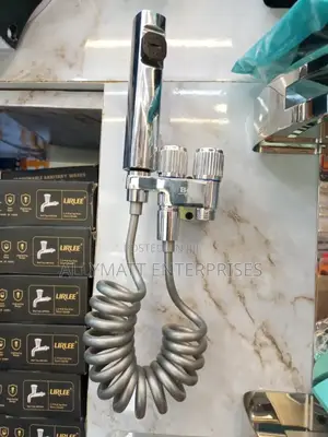 Double Silver Arabic Shower Plus Angle Valve