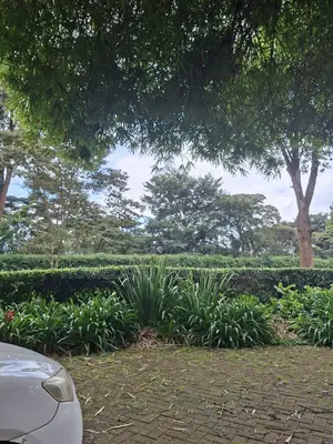 5 Acres Land for Sale in Karen Miotoni