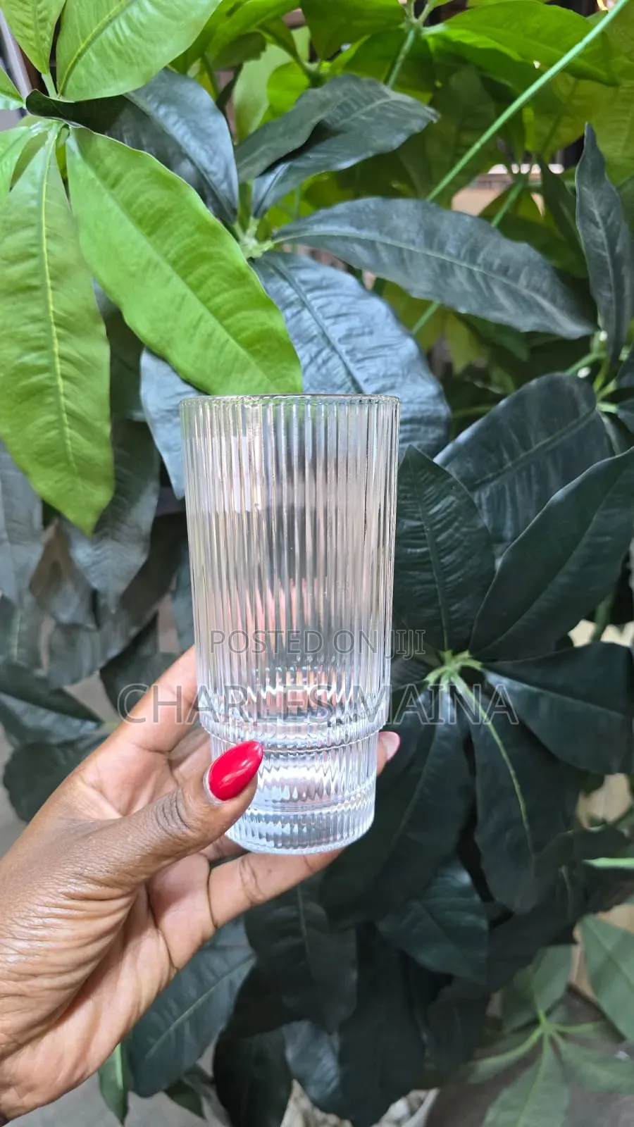 *Ribbed Aesthetic Highball Crystal Glasses*