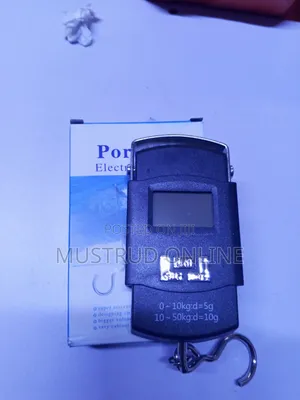 Digital Electric Hanging Scale