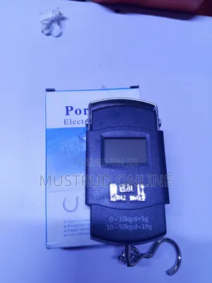Digital Electric Hanging Scale