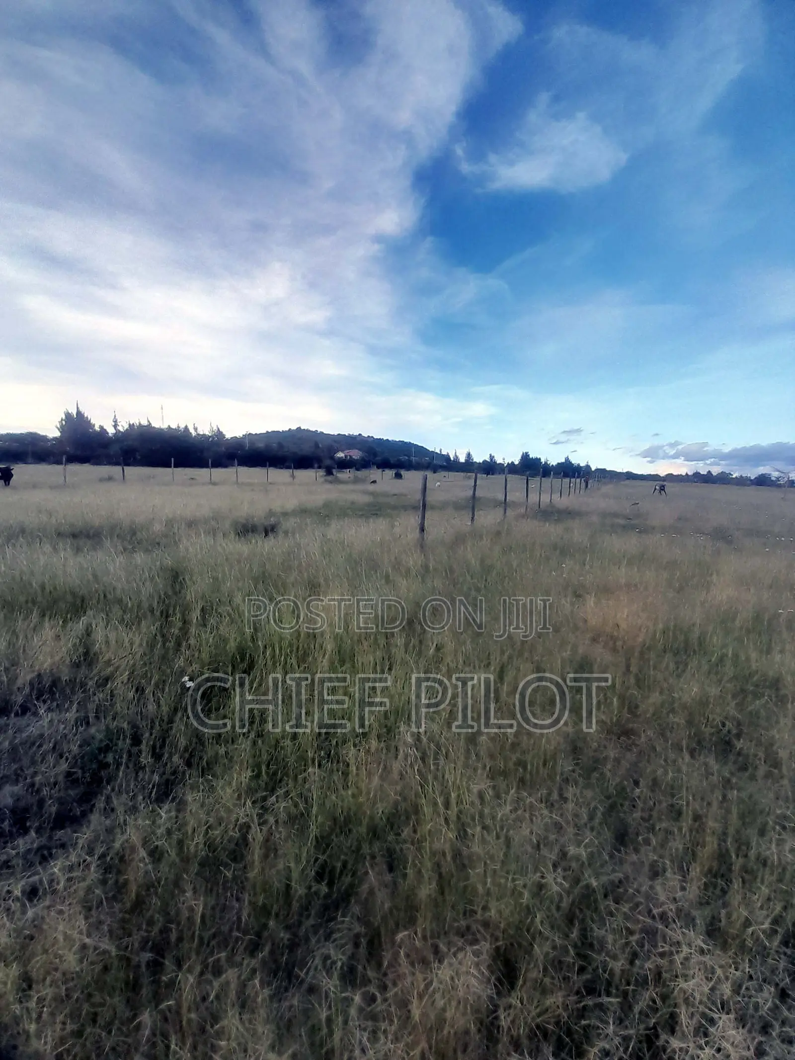 1/8th Plots for Sale Machakos Junction Kyumvi Chumvi
