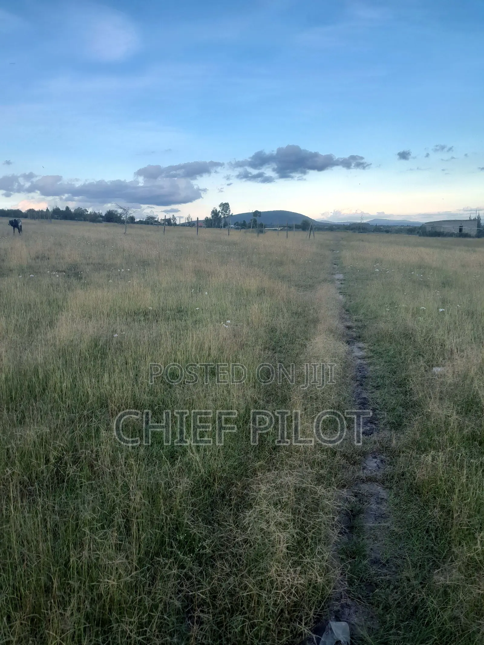 1/8th Plots for Sale Machakos Junction Kyumvi Chumvi