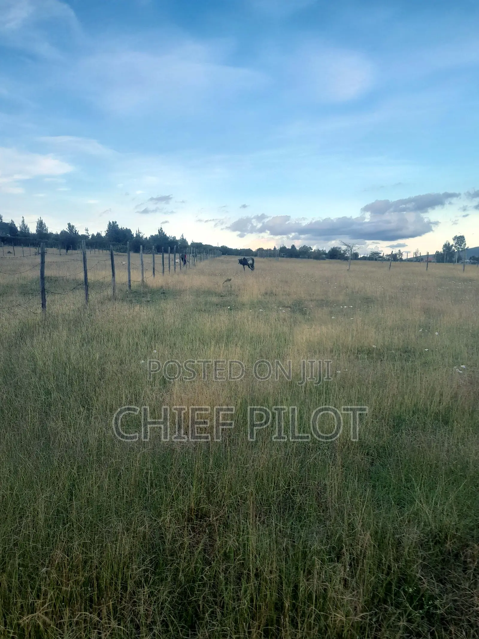 1/8th Plots for Sale Machakos Junction Kyumvi Chumvi