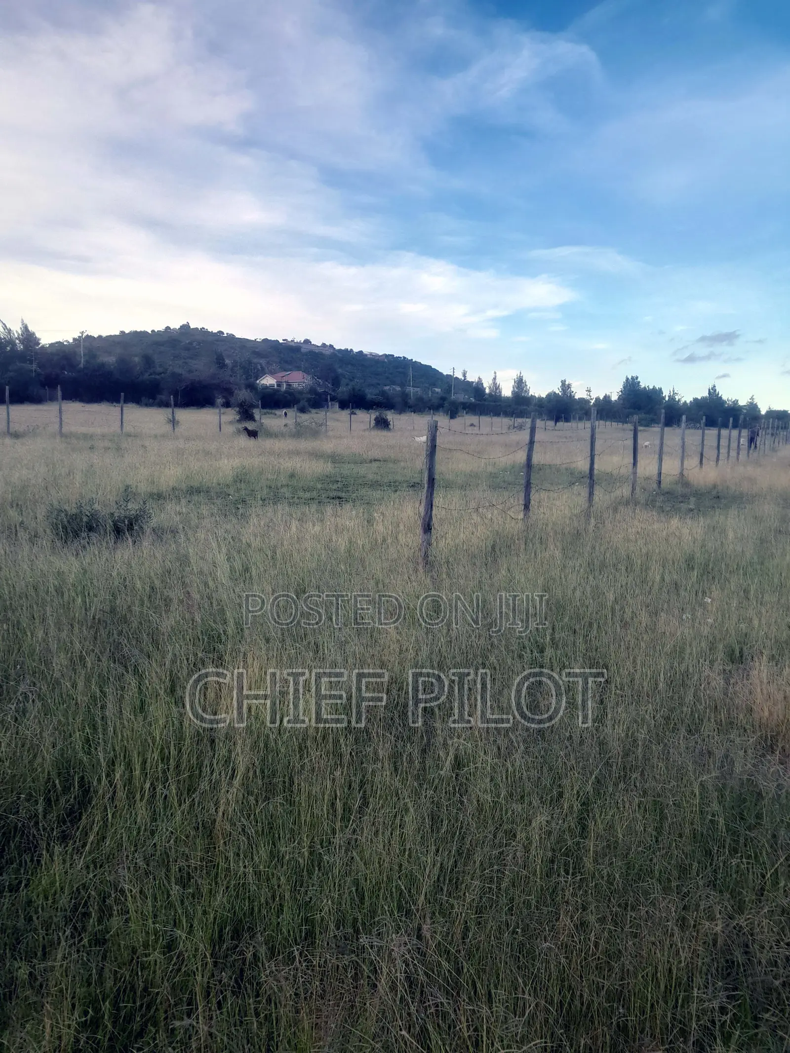 1/8th Plots for Sale Machakos Junction Kyumvi Chumvi