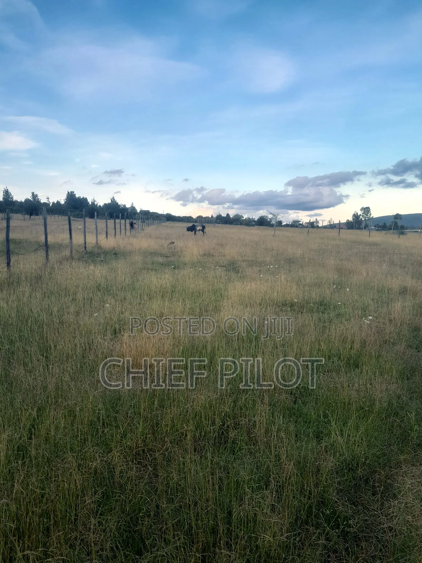 1/8th Plots for Sale Machakos Junction Kyumvi Chumvi
