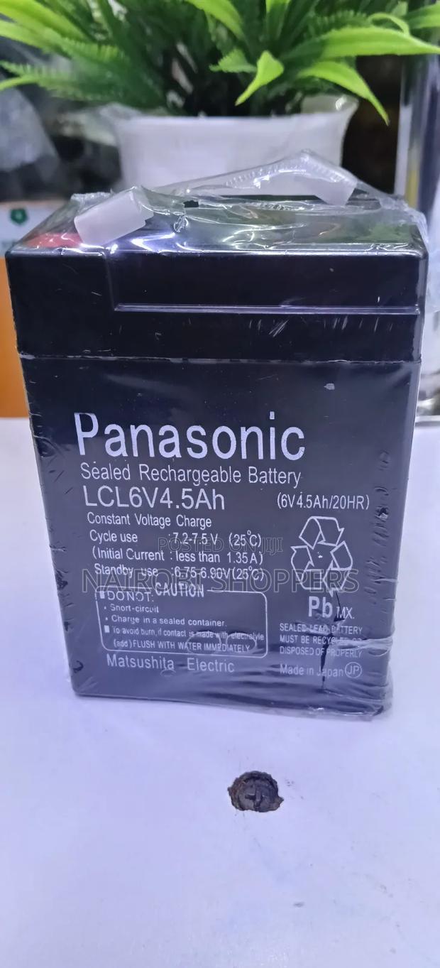 Weighing Scale Battery 6v Panasonic