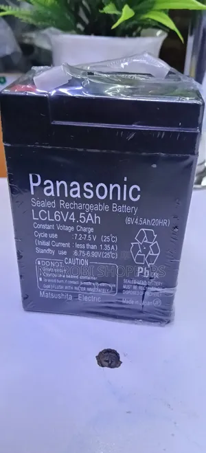 Weighing Scale Battery 6v Panasonic