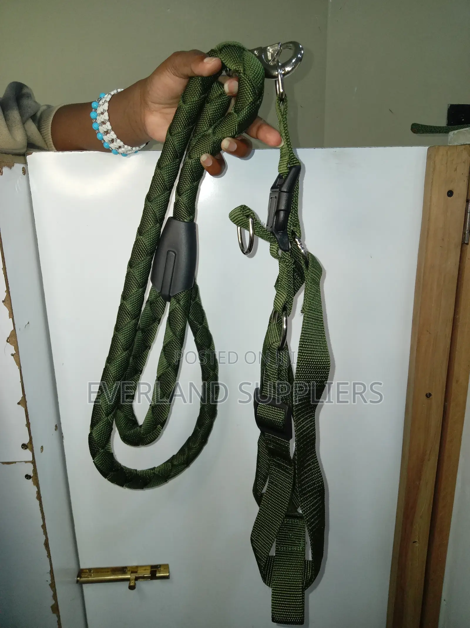 Green Dog Leash and Harness