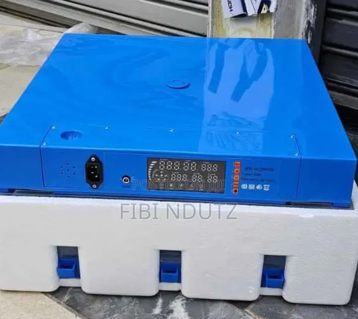 Dc 64 Eggs Egg Incubator/Incubation Process for 64eggs