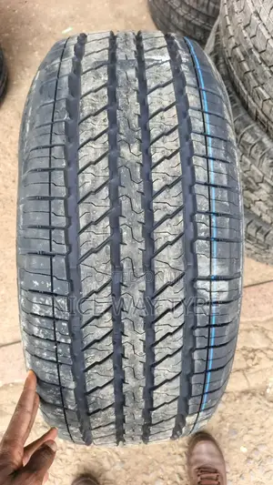 265/55r19 Transluxus