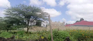 Eigth Acre Plot for Sale in Ngong Matasia Merisho Road
