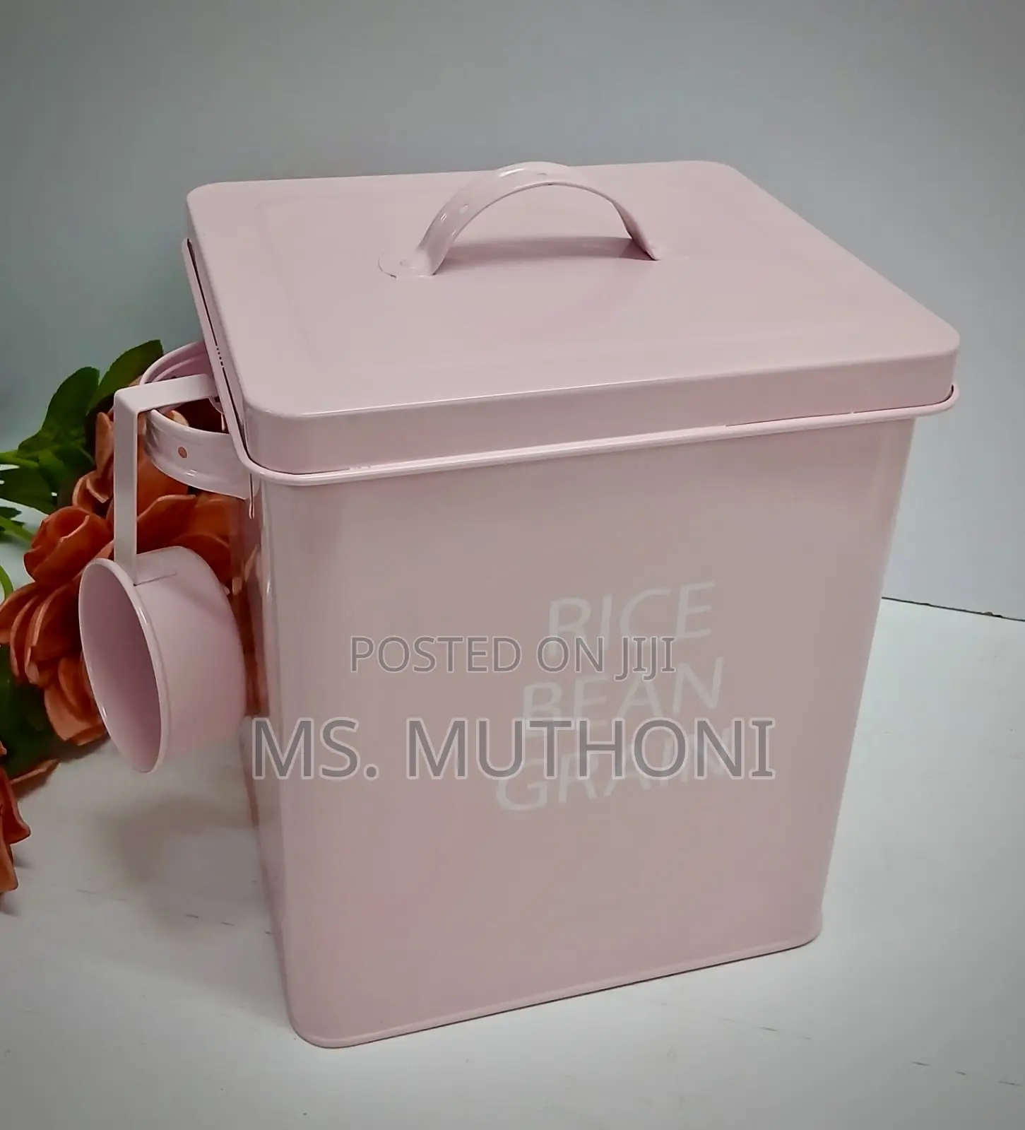 5 Kg Cereal / Detergent Metallic Storage Box