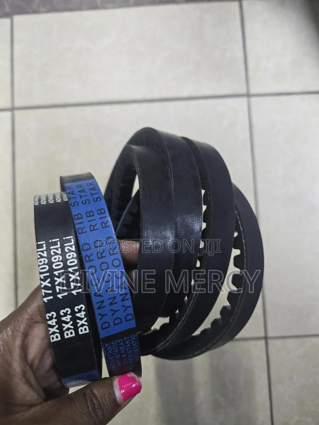 Fun Belt Bx 43,17×1092li - main view