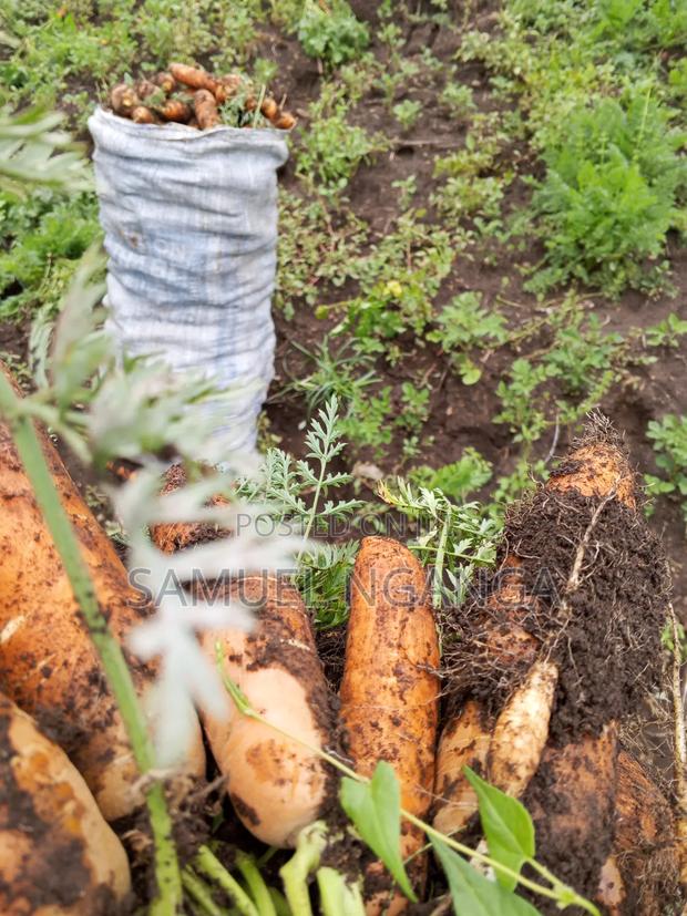 Potatoes, Cabbages and Carrots - thumbnail 6