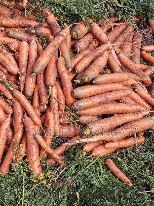 Potatoes, Cabbages and Carrots - thumbnail 14