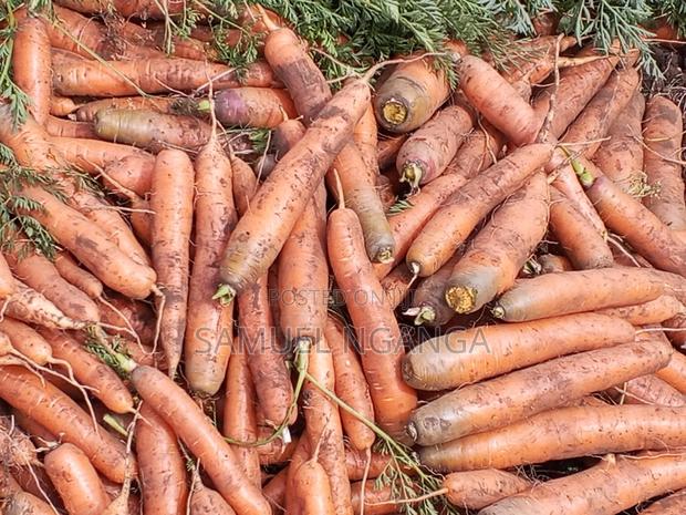 Potatoes, Cabbages and Carrots - thumbnail 15