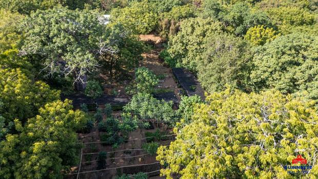 Commercial Plots for Sale Kilifi - thumbnail 10