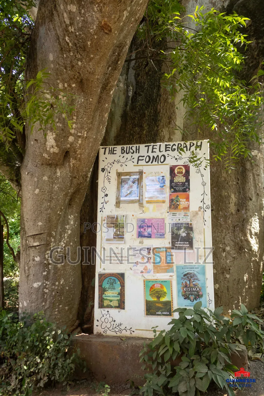 Commercial Plots for Sale Kilifi