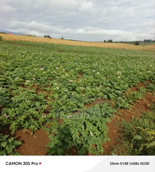 Commercial Land - thumbnail 2