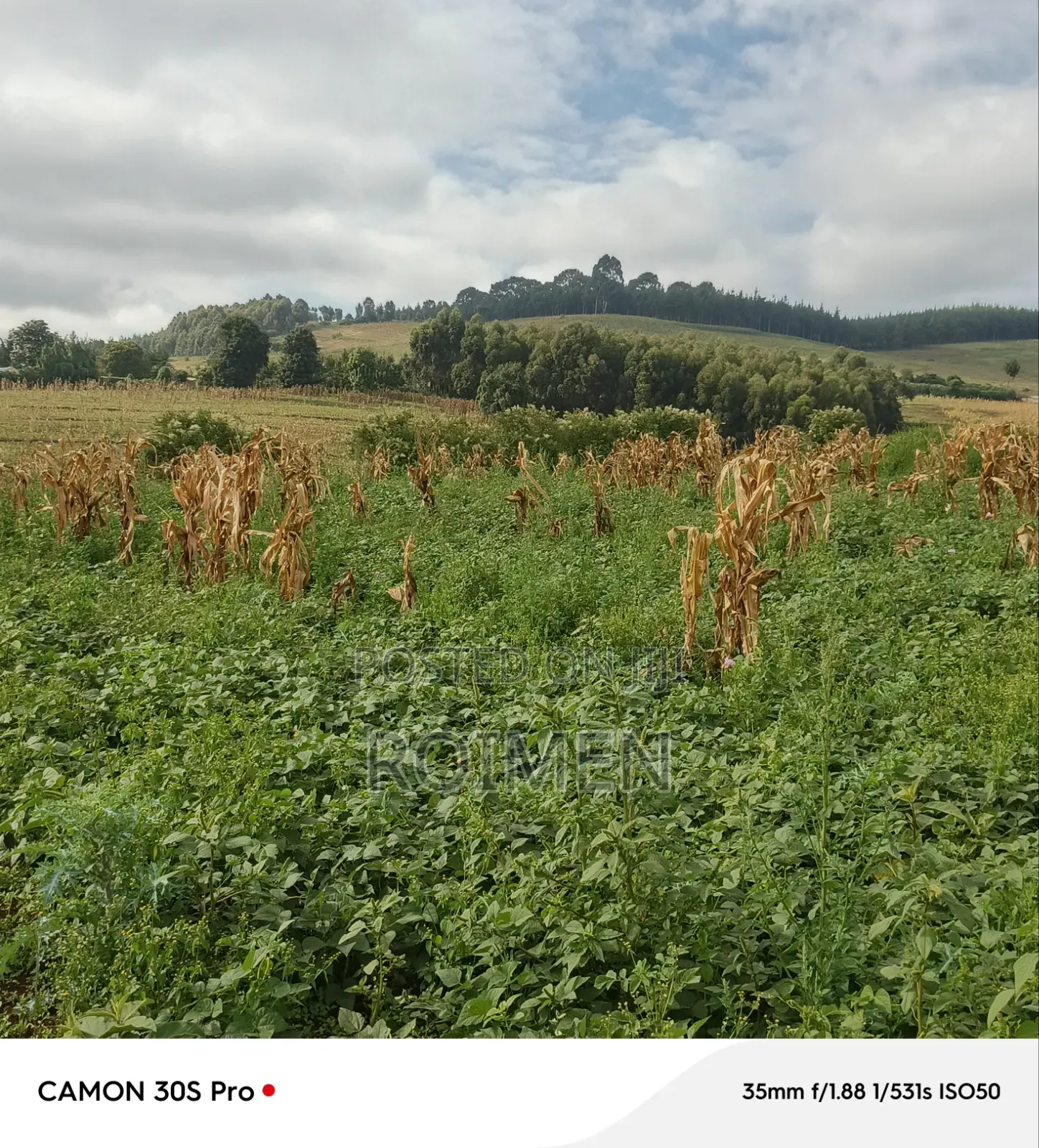 Commercial Land