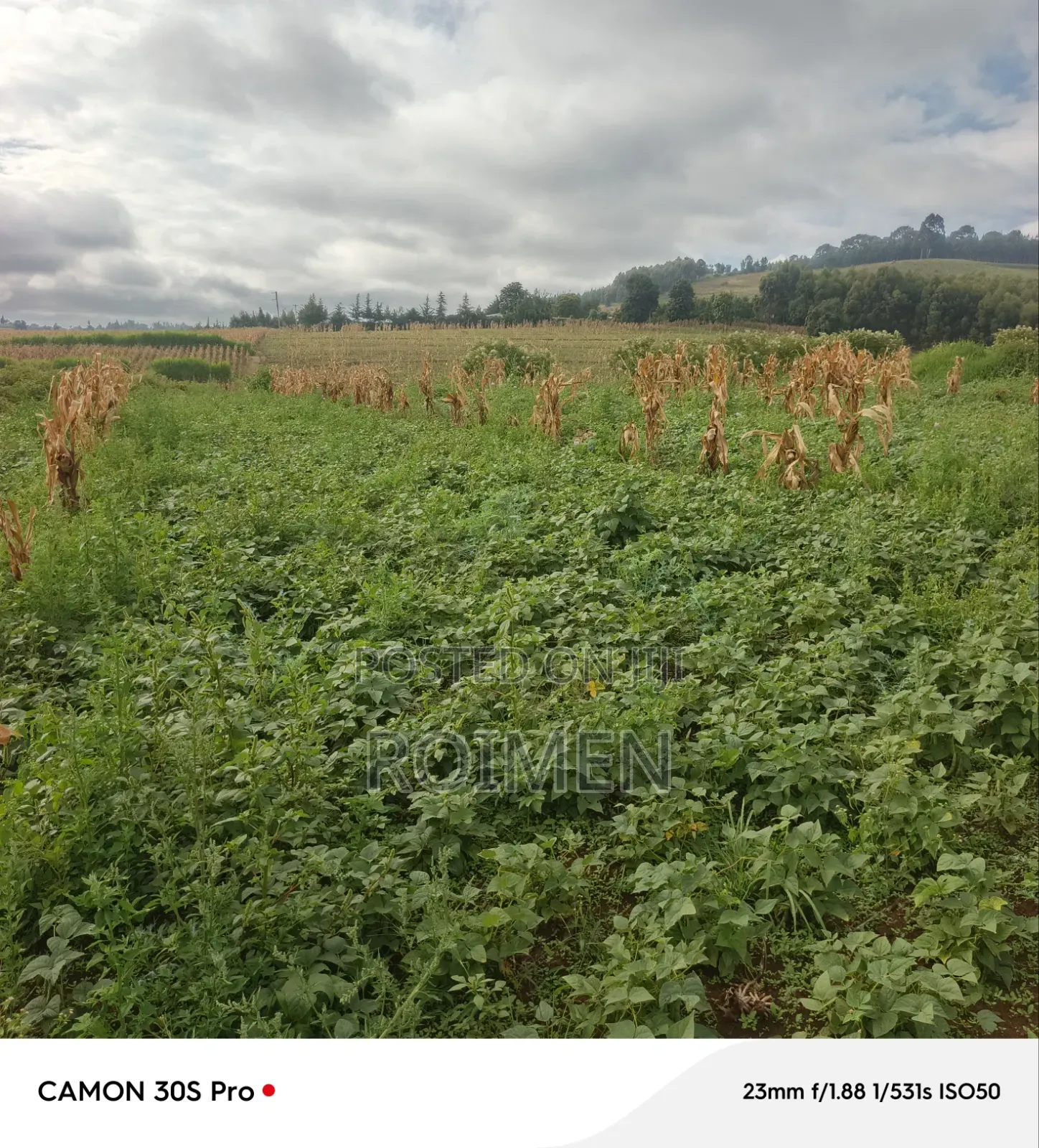 Commercial Land