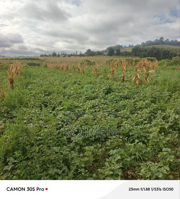 Commercial Land - thumbnail 4