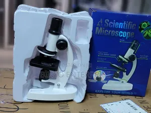 CBC Learning Microscope Magnification