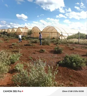 Farming Land