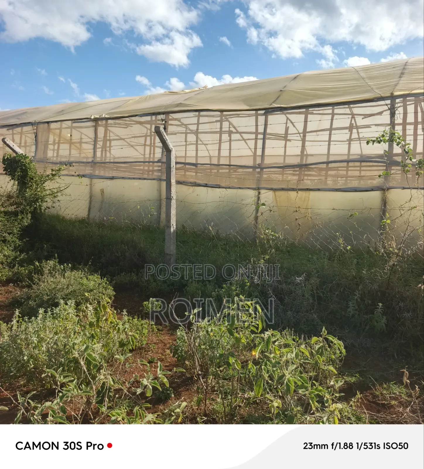 Farming Land