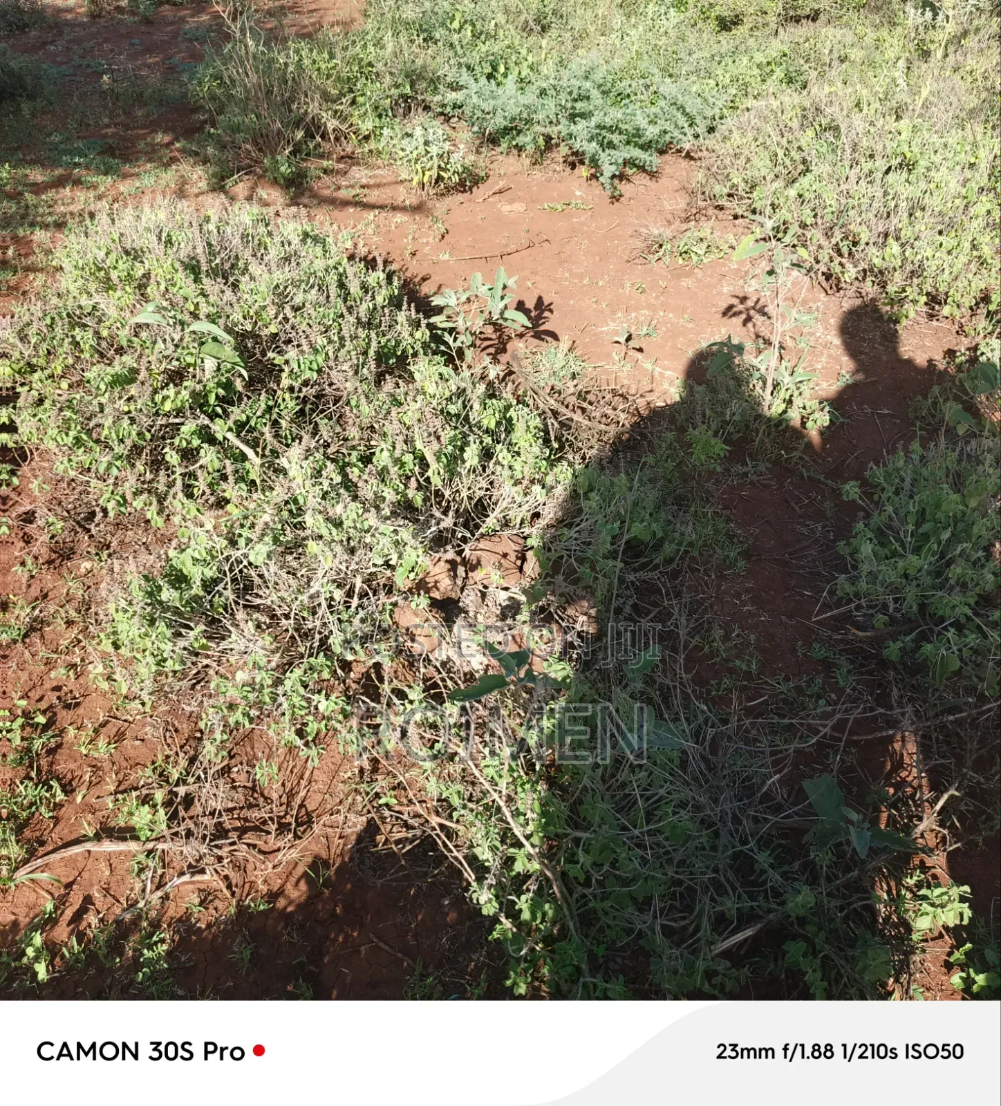 Farming Land