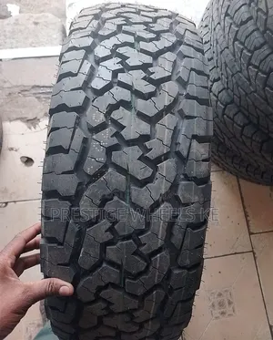 225/65r17 Comforser at Tires