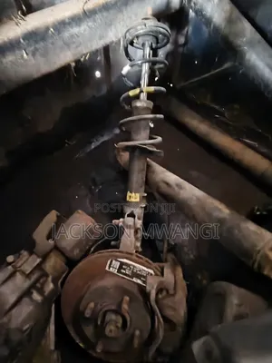 Coil Springs and Shock Absorbers