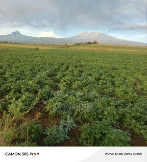 Residential Land