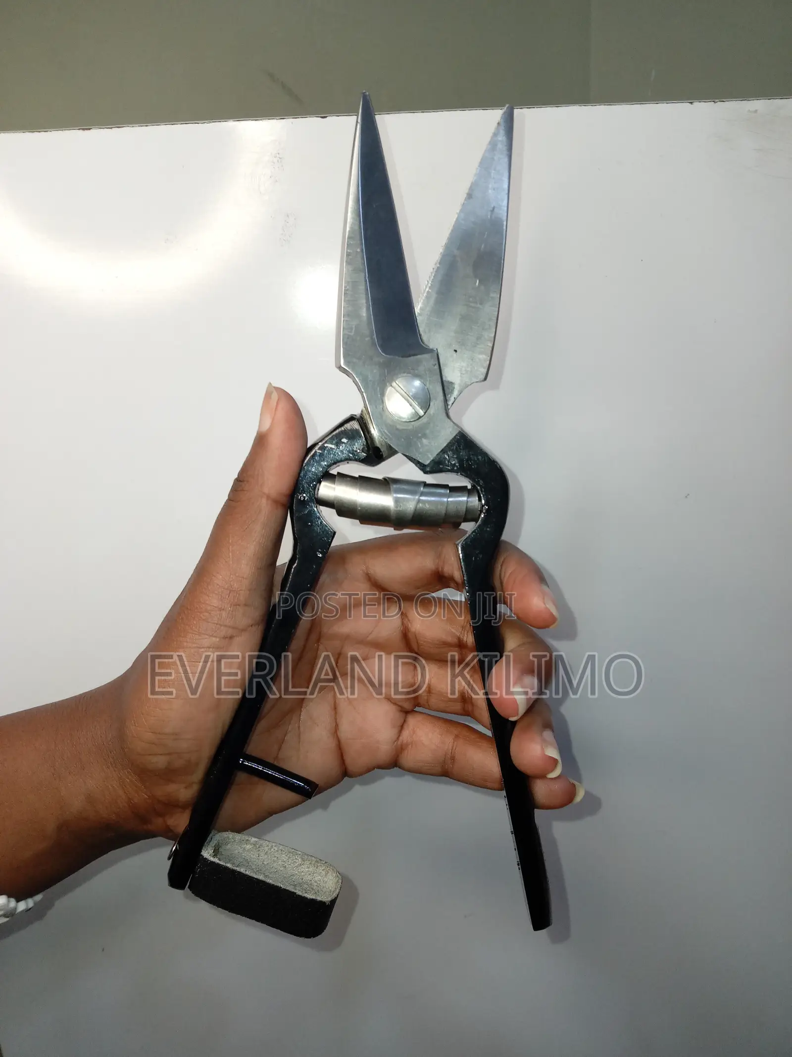 Black Hoof Trimming Sheers