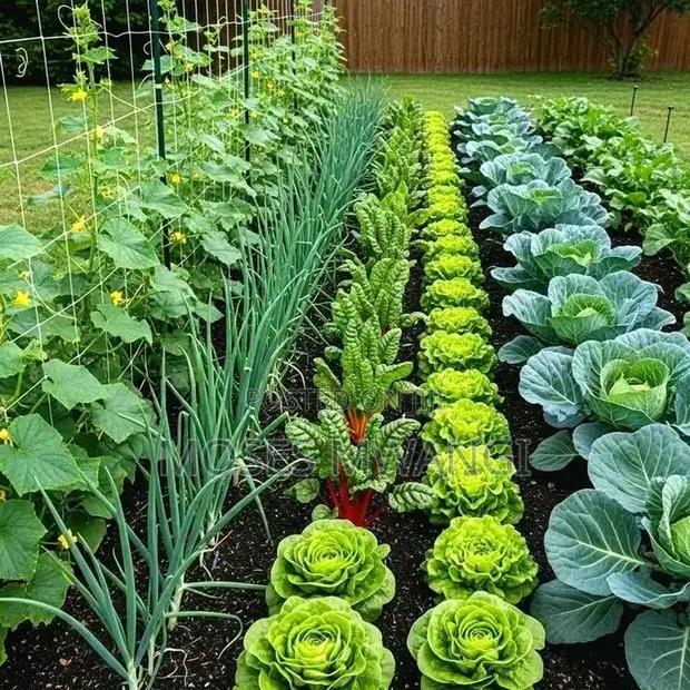 Farming to Avoid People Died From Lack of Food