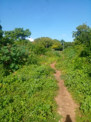 1/4 Acre Plot on 2nd Row Only 250 Metres From the Beach.