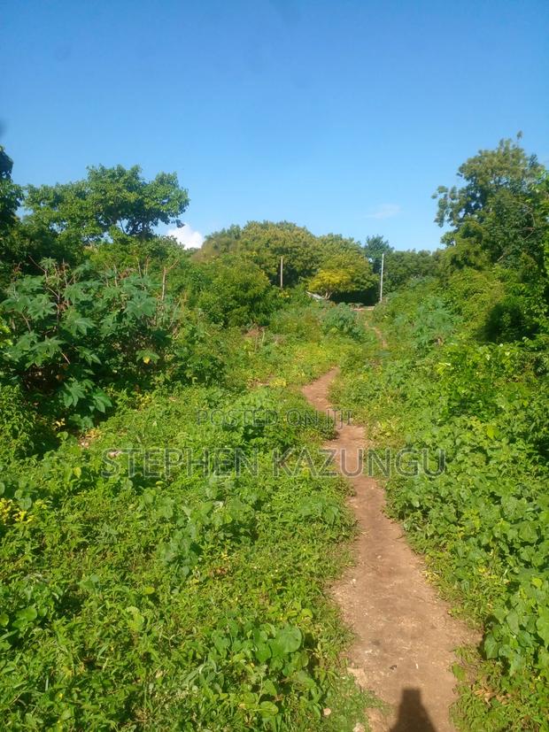 1/4 Acre Plot on 2nd Row Only 250 Metres From the Beach. - thumbnail 5