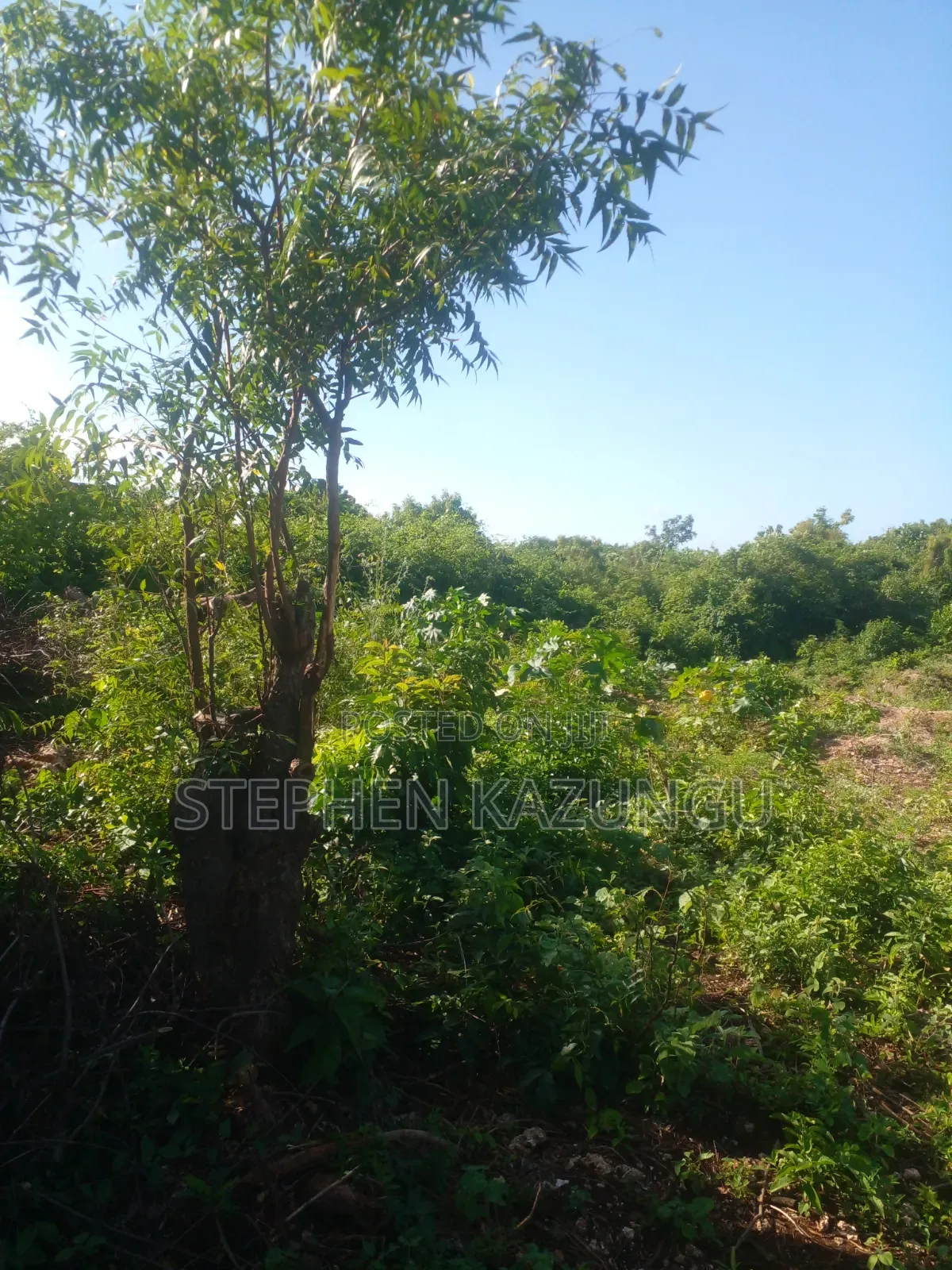1/4 Acre Plot on 2nd Row Only 250 Metres From the Beach.