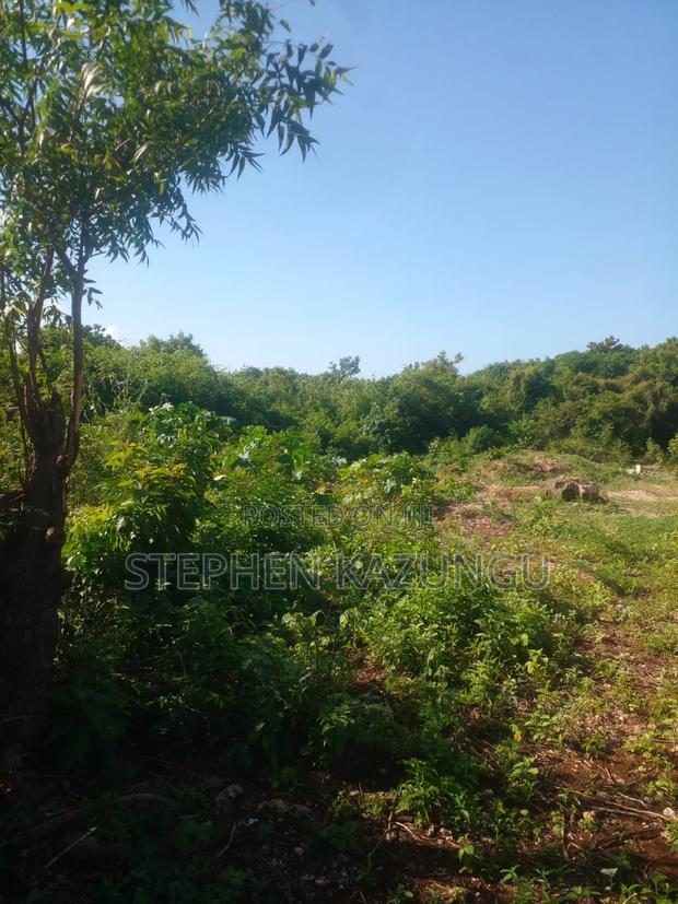 1/4 Acre Plot on 2nd Row Only 250 Metres From the Beach. - thumbnail 6