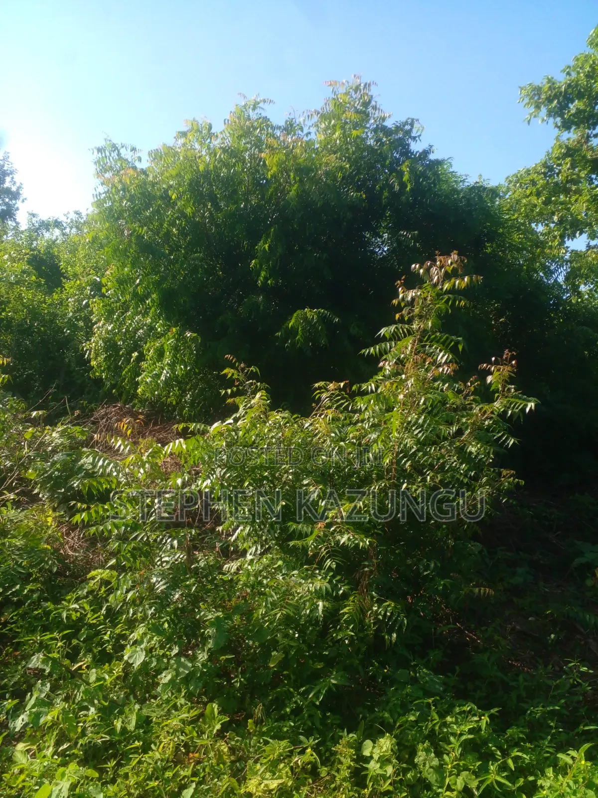 1/4 Acre Plot on 2nd Row Only 250 Metres From the Beach.