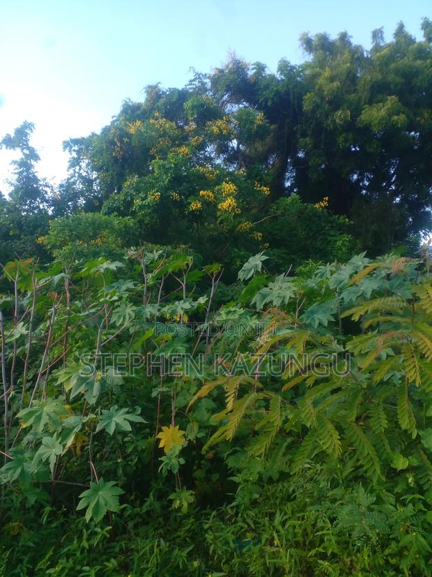 1/4 Acre Plot on 2nd Row Only 250 Metres From the Beach. - thumbnail 8