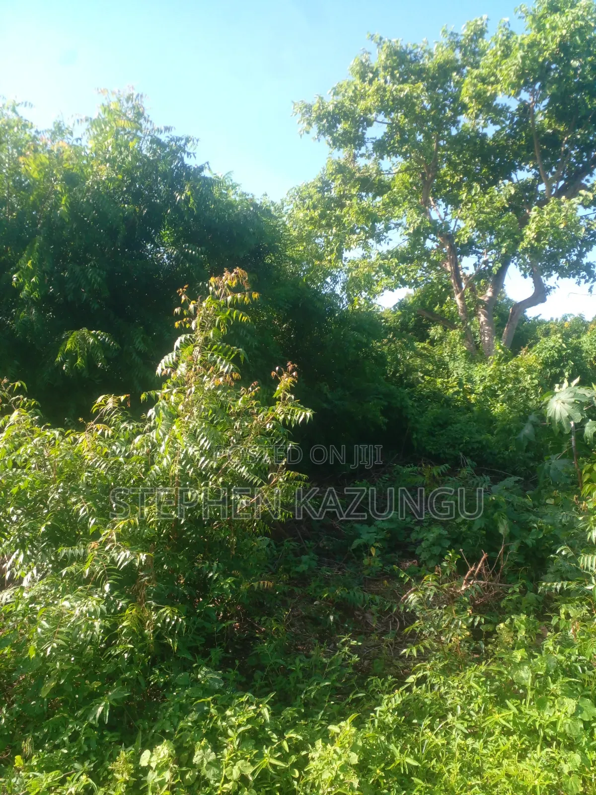 1/4 Acre Plot on 2nd Row Only 250 Metres From the Beach.