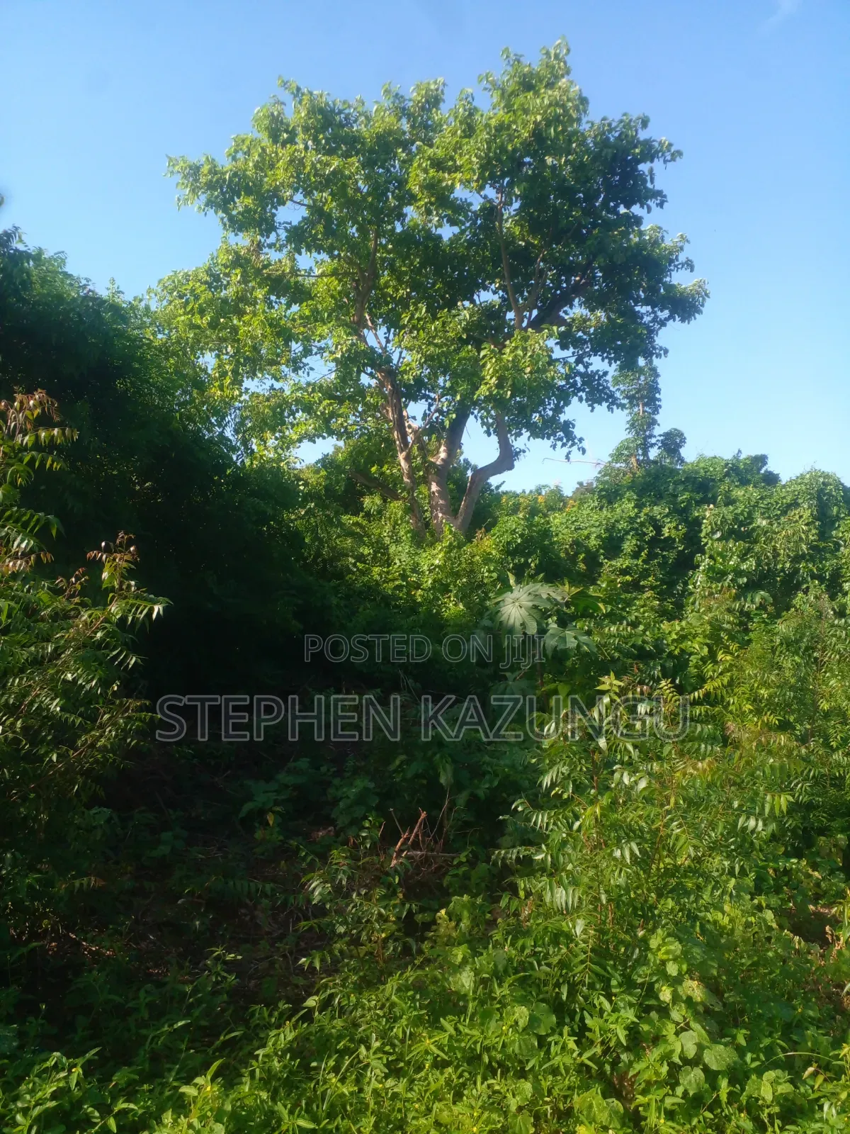 1/4 Acre Plot on 2nd Row Only 250 Metres From the Beach.