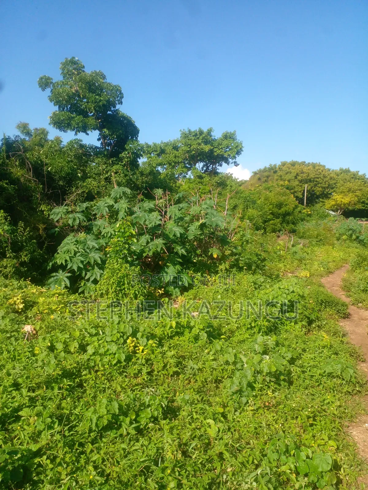 1/4 Acre Plot on 2nd Row Only 250 Metres From the Beach.