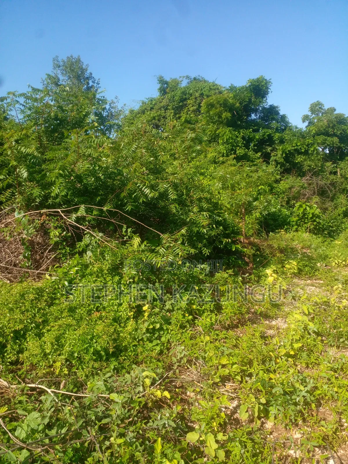 1/4 Acre Plot on 2nd Row Only 250 Metres From the Beach.