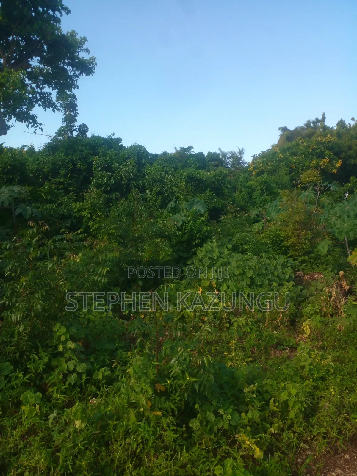 1/4 Acre Plot on 2nd Row Only 250 Metres From the Beach.